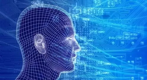 全球视野 六项热门与四项趋冷的企业级技术应用网络服务盘点